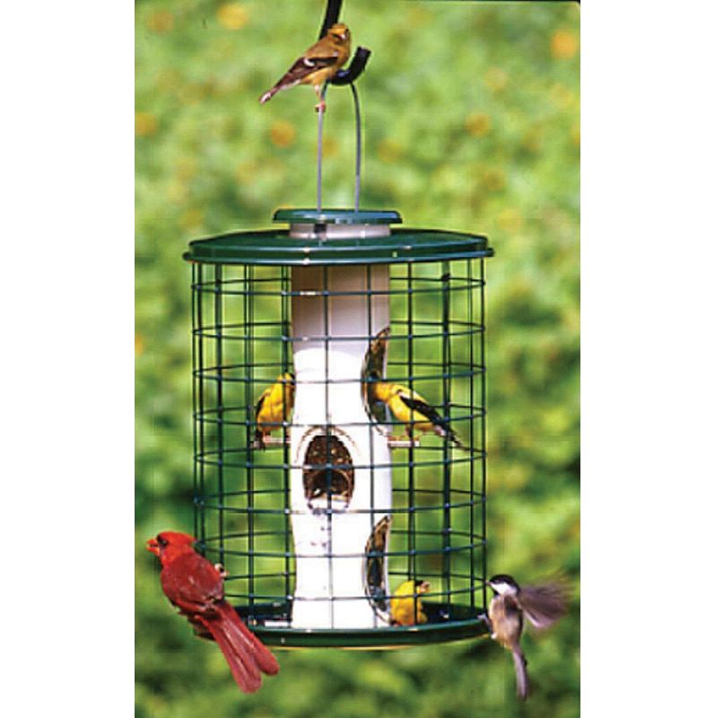 Avian Caged Sunflower/Mixed Seed Feeder 3 lb